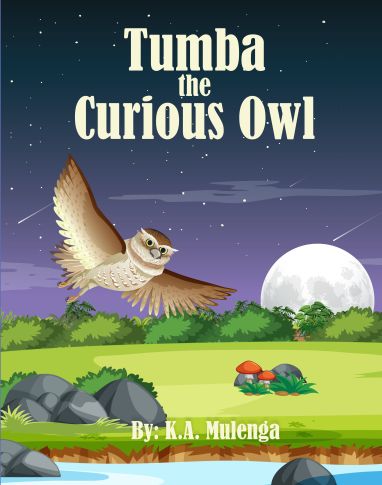 Tumba The Curious Owl